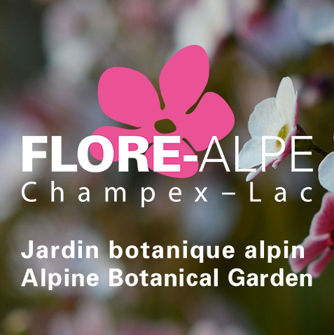 Logo Flore Alpe